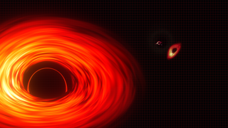 This gallery gathers together visualizations and narrated videos about black holes. A black hole is a celestial object whose gravity is so intense that even light cannot escape it. Astronomers observe two main types of black holes. Stellar-mass black holes contain three to dozens of times the mass of our Sun. They form when the cores of very massive stars run out of fuel and collapse under their own weight, compressing large amounts of matter into a tiny space.  Supermassive black holes, with masses up to billions of times the Sun’s, can be found at the centers of most big galaxies. Although a black hole does not emit light, matter falling toward it collects in a hot, glowing accretion disk that astronomers can detect.