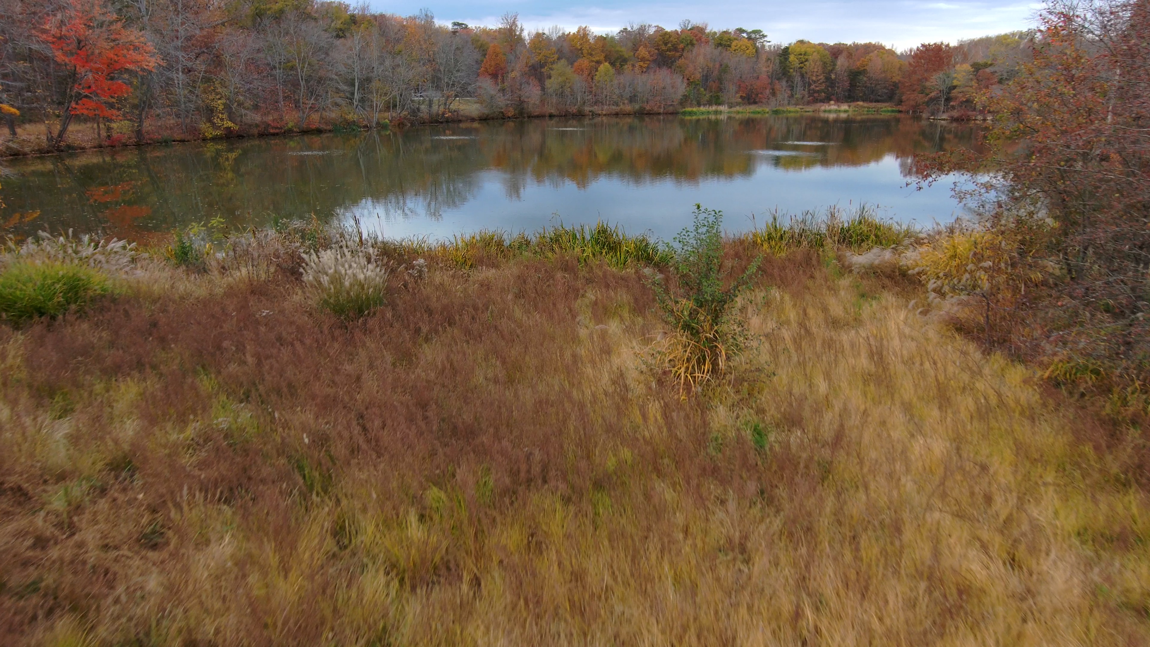 Views in the vicinity of the pond and wooded area in the northwest of Goddard's campus. The first sequence is an ascent, followed by a  descent, looking northwest. The next clip flies horizontally across the pond at low altitude. The following clip transitions from a position just above the pond, flying southeast, and rises to reveal Buildings 20, 28, and the broader Goddard campus. The next shot flies the same path in reverse at slower speed. Credit: NASA/Francis Reddy