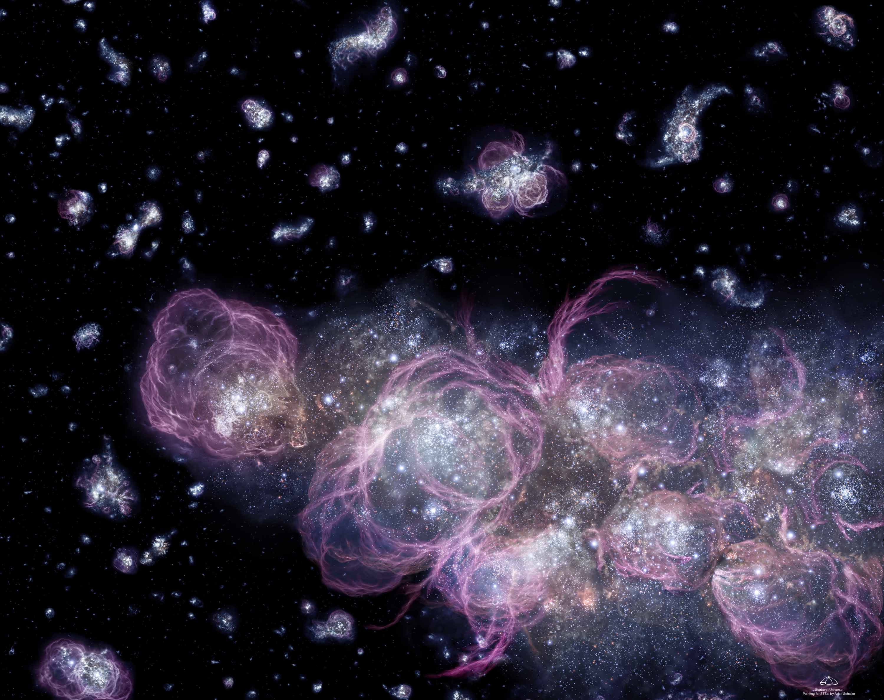 This artist's concept shows how the universe might have looked when it was less than a billion years old, about 7 percent of its current age. Star formation voraciously consumed primordial hydrogen, churning out myriad stars at an unprecedented rate. NASA’s Nancy Grace Roman Space Telescope will peer back to the universe’s early stages to understand how it transitioned from being opaque to the brilliant starscape we see today.
Credit: NASA, ESA, and A. Schaller (for STScI)
Alt text: This illustration depicts a mesmerizing and chaotic cosmic scene, filled with misshapen clumps and twists of white and purplish material on a black background. Most of the clumps are small, but a particularly large conglomeration extends from the lower-right of the frame up to the middle and nearly all the way across to the left side, sort of like billowing clouds. It's full of bulbous shapes outlined with glowing lavender tendrils. Bright groups of stars are concentrated in the center of each lobe, and also scattered more sparsely throughout the surrounding area.