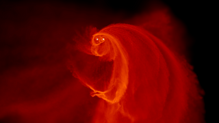 Watch as a gas cloud encounters two supermassive black holes. The complex interplay of gravitational and frictional forces causes the cloud to condense and heat. Some of the gas is ejected from the system with each orbit of the black holes.Credit: F. Goicovic et al. 2016Music: "Forgotten Fortunes," Magnum Opus [ASCAP] , Universal Production MusicComplete transcript available.