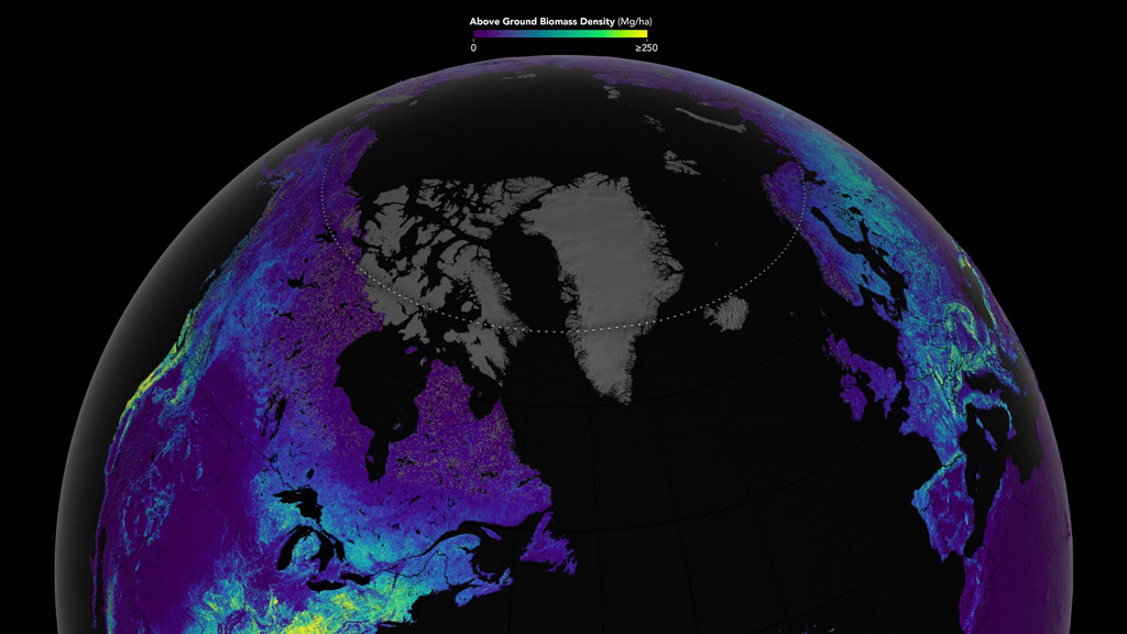 Global visualization of forest biomass using GEDI and ICESat-2 data.
