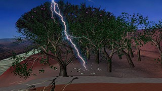 This animation illustrates a fire starting from dropped Tamarisk leaves.