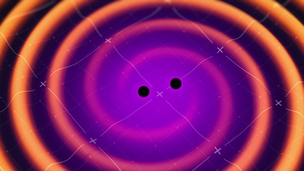 Two black holes orbit around each other and generate space-time ripples called gravitational waves in this animation. As the black holes get closer, the waves increase in frequency. Eventually, the event horizons merge into a peanut-shaped object, generating one very high-frequency wave. Within a rotation, the black holes merge completely. One lower-frequency wave, called the ring down, ripples out after the merger.<p><p>Credit: NASA's Goddard Space Flight Center Conceptual Image Lab