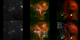 A composite image compares SOFIA data with visible and near-infrared images.