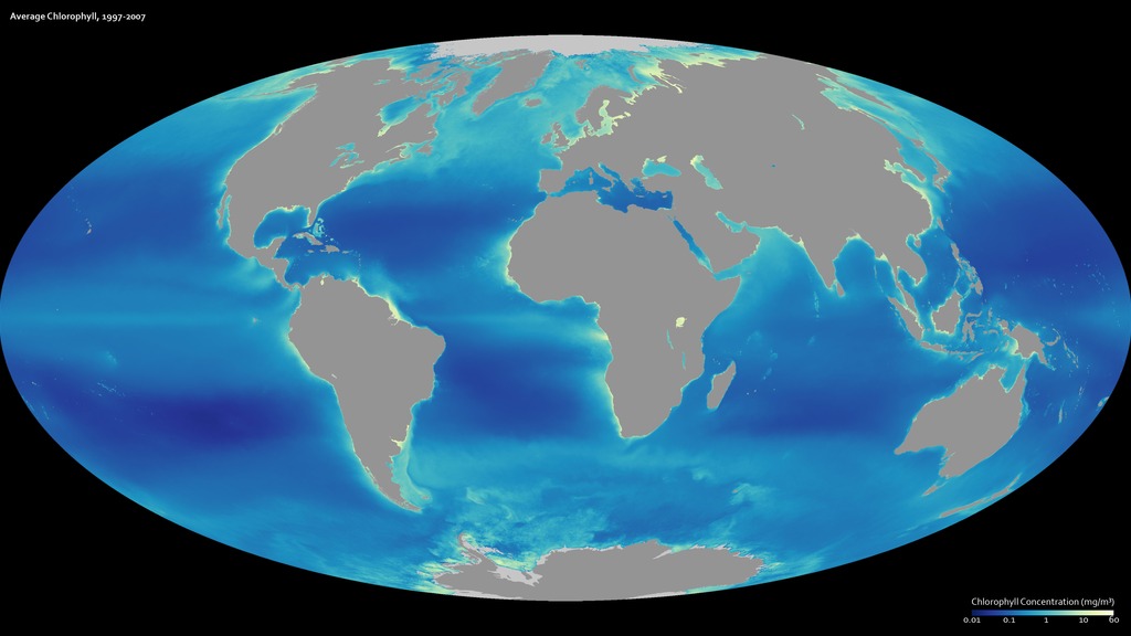 A decade of observations from the SeaWiFS satellite.