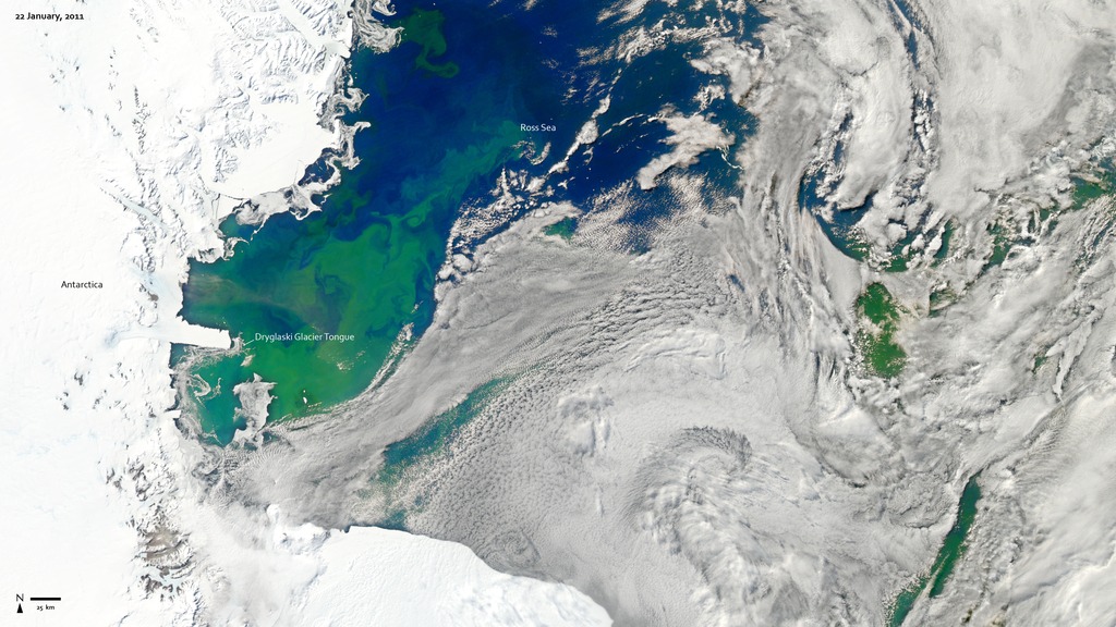 A phytoplankton bloom in the Ross Sea