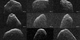 A collage shows nine radar images of near-Earth asteroid 2007 PA8
