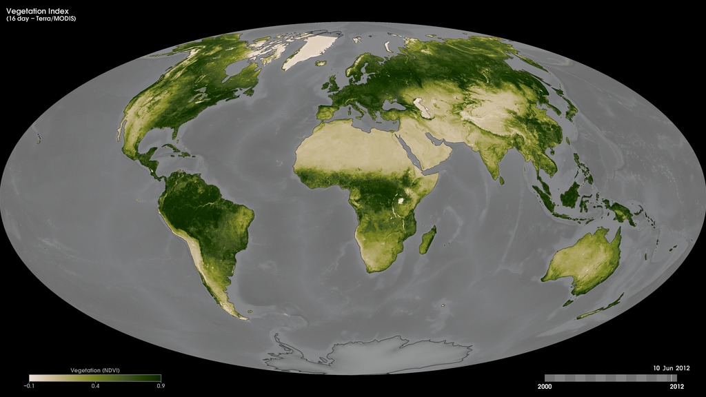 16-day Terra/MODIS vegetation index maps beginning February 18, 2000.