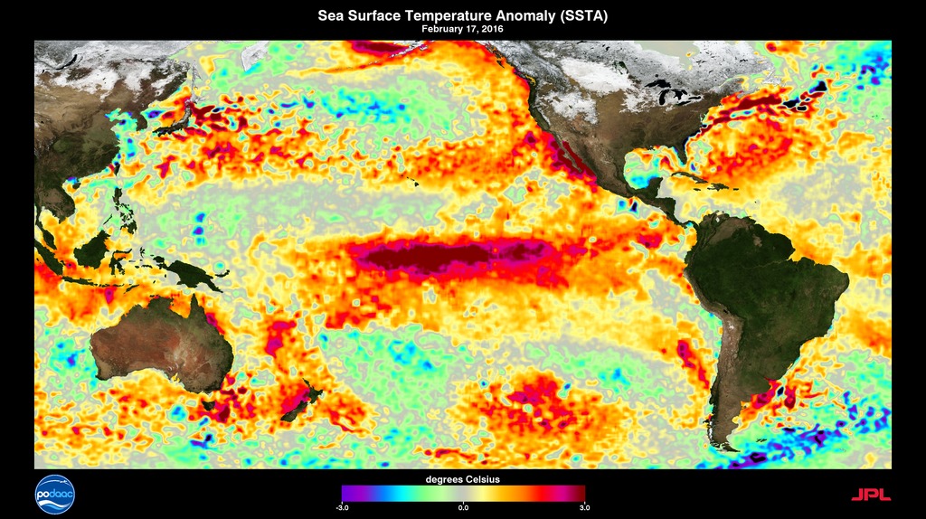 Animation of Sea Surface Temperature Animaly from Dec 31, 2013 to present.