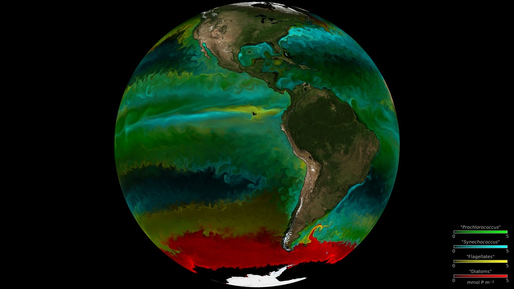 A rotating globe shows the distribution of phytoplankton the the world's oceans
