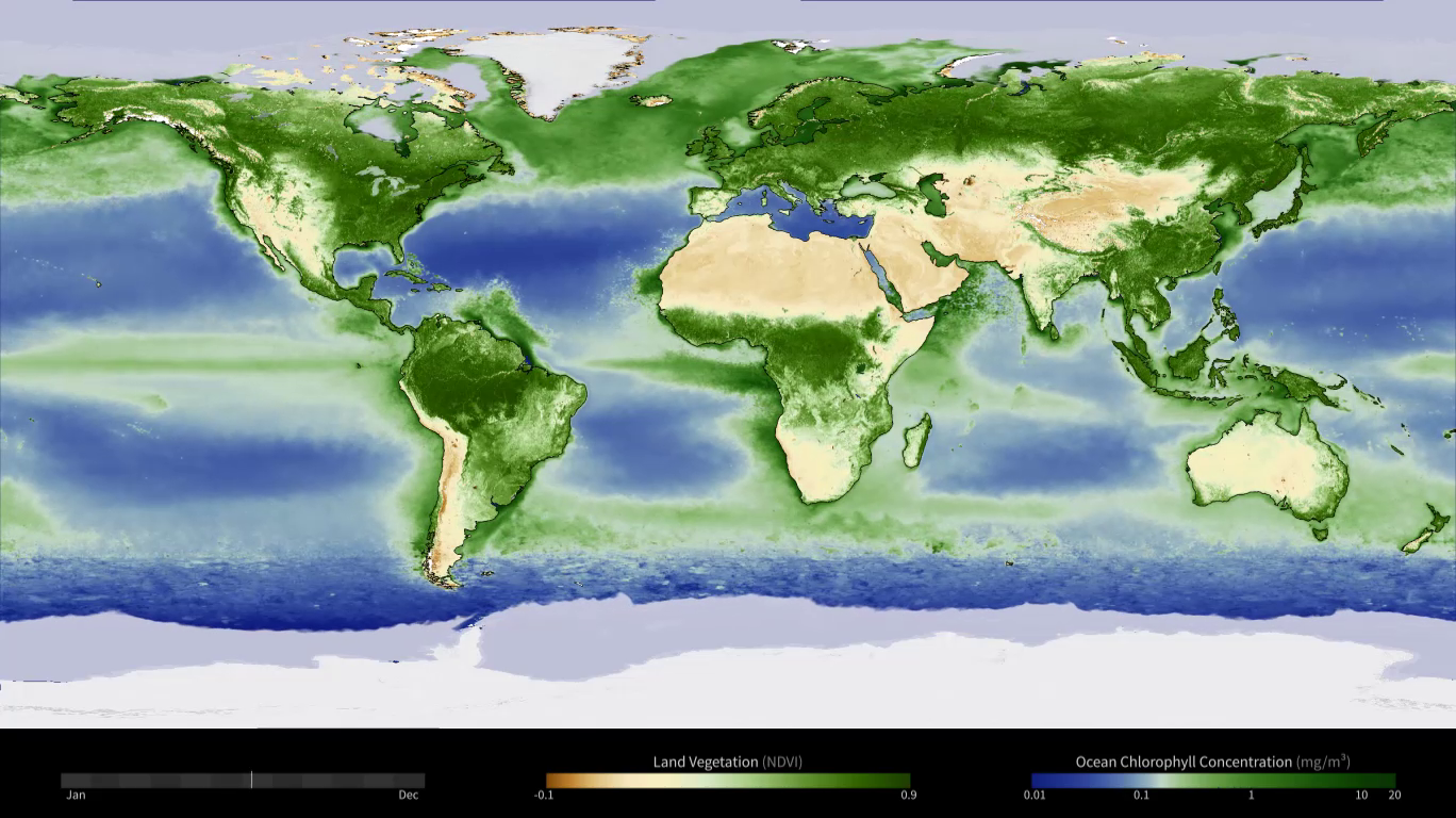 Animation showing the 12-month cycle of all plant life on Earth — whether on land or in the ocean.  Rather than showing a specific year, the animation shows an average yearly cycle by combining data from many satellite instruments and averaging them over multiple years.