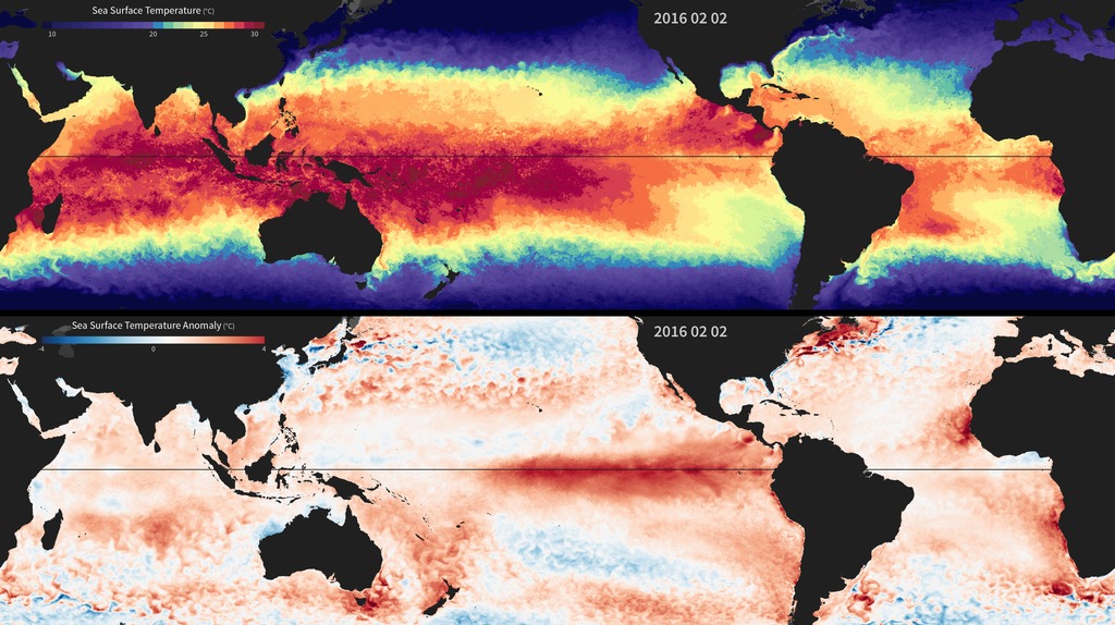 Preview Image for Sea Surface Temperature and Temperature Anomaly 2015-2016