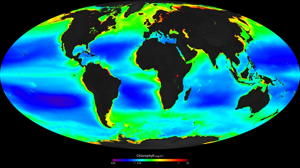 Ocean Chlorophyll and colorbar