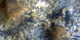 The Color Wonderland of Mawrth Vallis