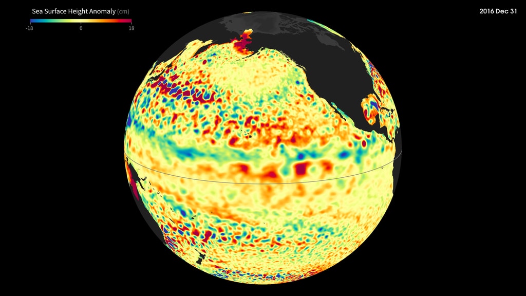 Animation of Sea Surface Height Anomaly in the Pacific for 2014 through 2016.