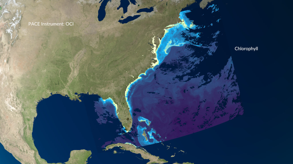 This visualization begins with a view of the PACE spacecraft orbiting Earth.  A swath of true color imagery is exposed as the spacecraft passes over each location.  The camera then zooms into the southeastern coast of the US, revealing several data layers from the PACE science instruments, including chlorophyll, a phytoplankton community map (Picoeukaryotes, Prochlorococcus, and Synechococcus), and aerosols. 