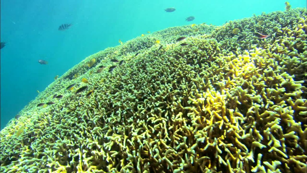 Water is all around us, and its importance to nearly every natural process on earth cannot be underestimated. The water cycle is the movement of water around the Earth in all its forms, from the ocean to the atmosphere, to snow, soil, aquifers, lakes, and streams on land, and ultimately backs to the ocean. This video explains what the water cycle is and how important it is to life on earth.For complete transcript, click here.